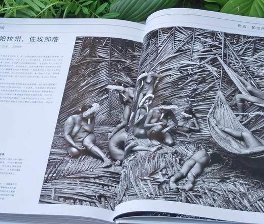 DK图书：《伟大的摄影》，精装，8开，[英]汤姆.昂著，北京美术摄影出版社2019年一版二印，定价238元，售价90 商品图11