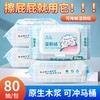 【春上新】【清仓】9楼母婴生活馆 【32.9元3包】首纯80抽湿厕纸原生木浆可降解无酒精无香精可用在私处 活动价32.9元3包 商品缩略图0