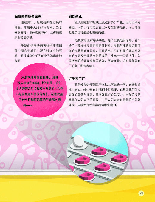 《人体简史：少儿彩绘版》 商品图12