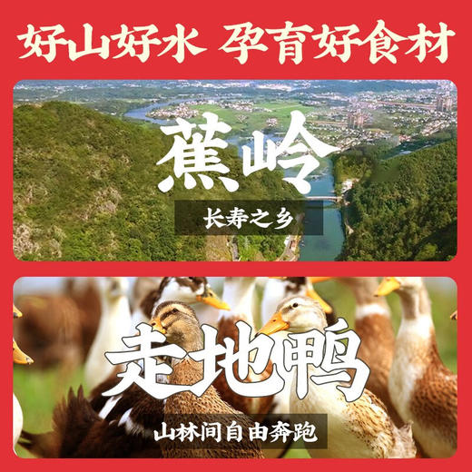 真莊真庄广东梅州客家特产独立包装网红零食宵夜即食熟食小吃 盐焗/香辣鸭头200g（独立装）*1 商品图4