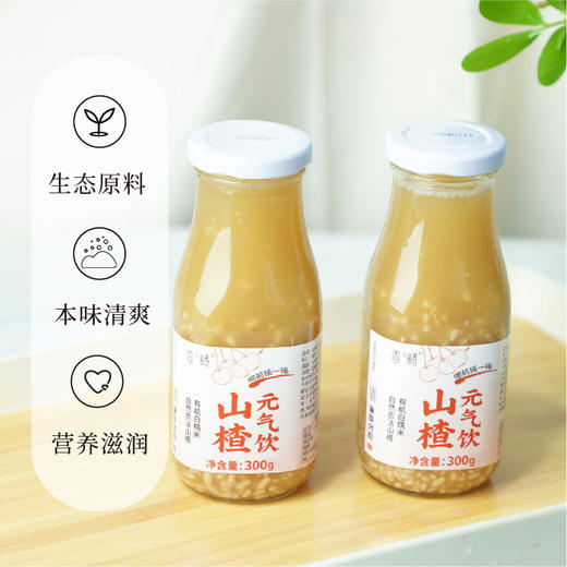 山楂元气饮300g*2瓶【产地直发】@谦益 商品图1
