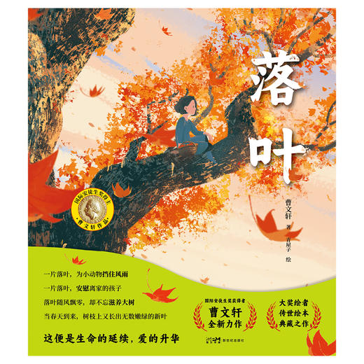 曹文轩传世绘本系列2：落叶 曹文轩著 商品图2