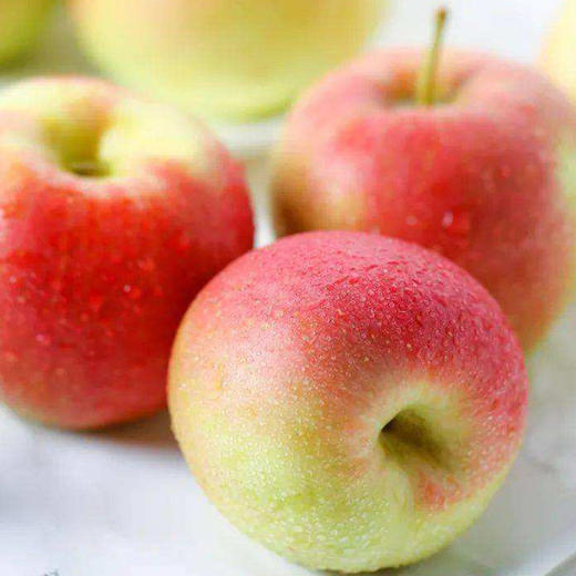 现摘当季陕西嘎啦苹果新鲜正宗高山水果脆甜多汁整箱5斤装 商品图0