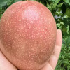 芭乐味百香果，新品，越放越甜，水分足，特大果，一份2斤 商品缩略图1