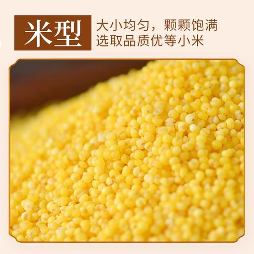 五谷土小米700g/罐 商品图4
