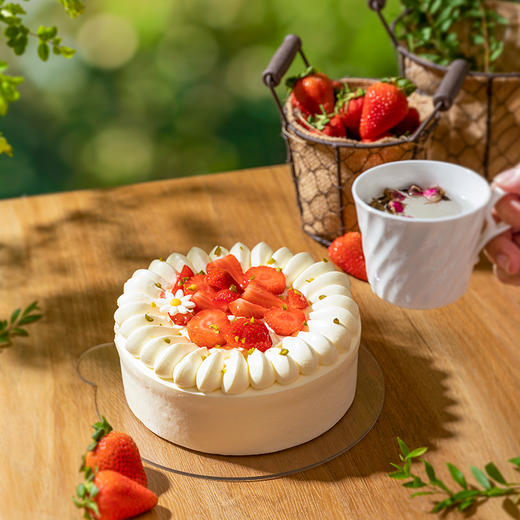 乳酪真味升级版--木糖醇代糖无糖芝士慕斯蛋糕【糖类敏感人群友好】 商品图6