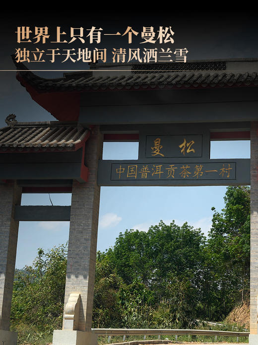 生肖系列龙珠【龙首曼松单株】2024年曼松单株单采，原料来自24号茶农李学平曼松王子山片区600年古树单株 600克/罐 拍5罐发6罐 每罐加送旅行锡罐 商品图1