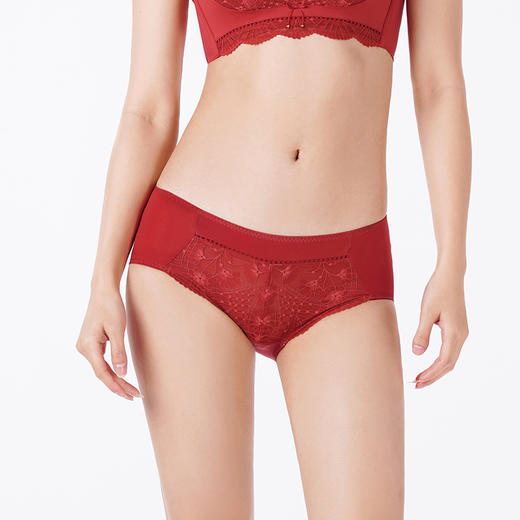 都市丽人内裤薄透丝滑三角裤蕾丝+泳布女士内裤YPT5D3 商品图1