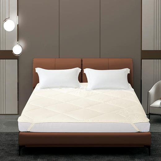 卓凡尼·华伦天奴 煦暖羊毛床垫GV2839CD 商品图0