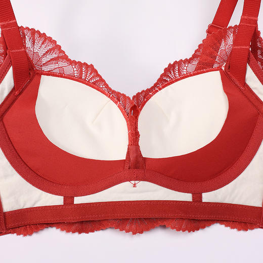 都市丽人内衣聚拢升杯常规文胸蕾丝中厚文胸3/4杯三排扣无钢圈YBT5D3 商品图9