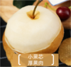 🍐🍐🍐【梨中贵族正宗秋月梨】1、果实略呈扁形，果形端正，🌿果个大。不套袋果果皮略呈青褐色，储藏后变为黄褐色 商品缩略图3
