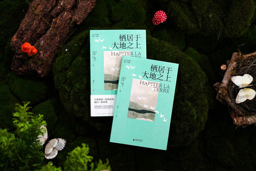 大学问 · 栖居于大地之上 （法）布鲁诺·拉图尔、（法）尼古拉·张  /著 商品图4