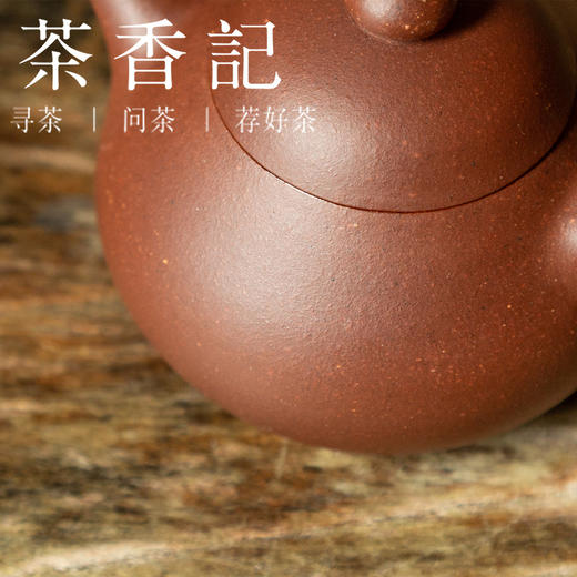 茶香记 紫砂壶 紫泥小文旦 小巧可爱  圆融沉稳 入门款 泡茶壶 功夫茶具 商品图2