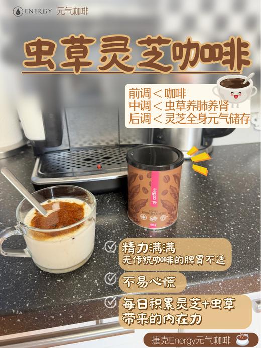 捷克安能聚QI气咖啡粉含虫草灵芝 补充能量/有益心血管/提神补气 不易心慌100g 日期26年11月 商品图8