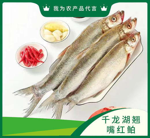 千龙湖盐渍鲌鱼 商品图0