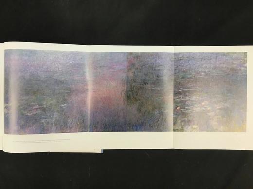 莫奈二十世纪画集 92幅彩色插图 部分为可展开拉页插图 精装大16开 商品图8