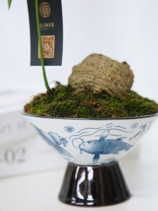 石山铁 商品图2