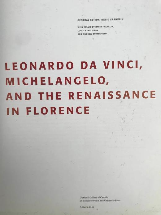达芬奇，米开朗基罗，与佛罗伦萨文艺复兴 数百幅插图 精装大16开 商品图3
