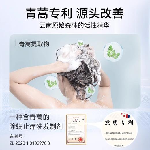 征服青蒿专利洗发/护发/沐浴  530ml/瓶【新旧包装随机发，下单送随机小样2包】 商品图5