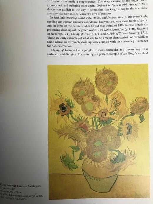 梵高画集 数百幅插图 精装大16开 商品图11
