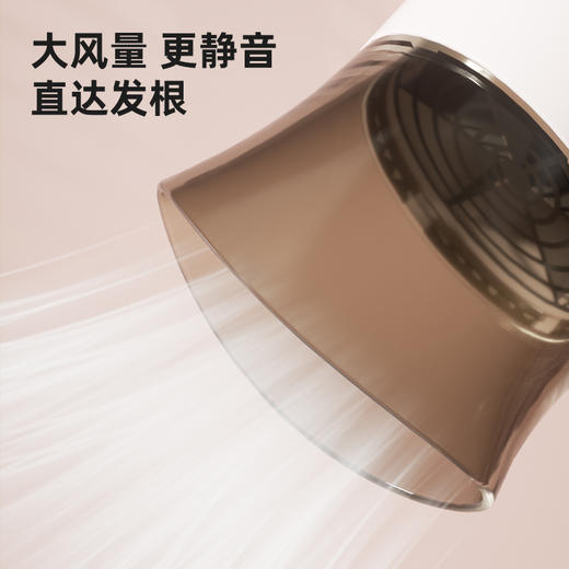 【自营】扬子 1260电吹风吹风机 商品图2