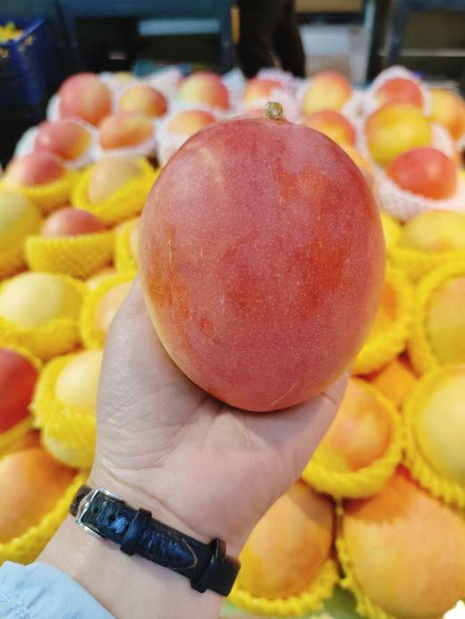 苹果芒3斤 商品图0