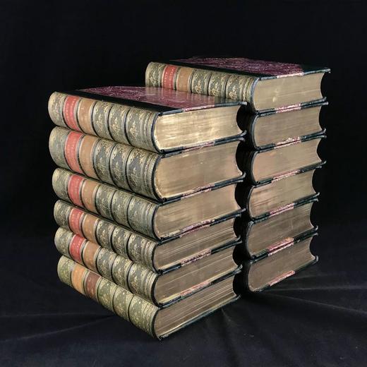 1863-1886年 英国植物志（全12卷）2560幅手工上色版画插图 真皮精装16开 商品图1