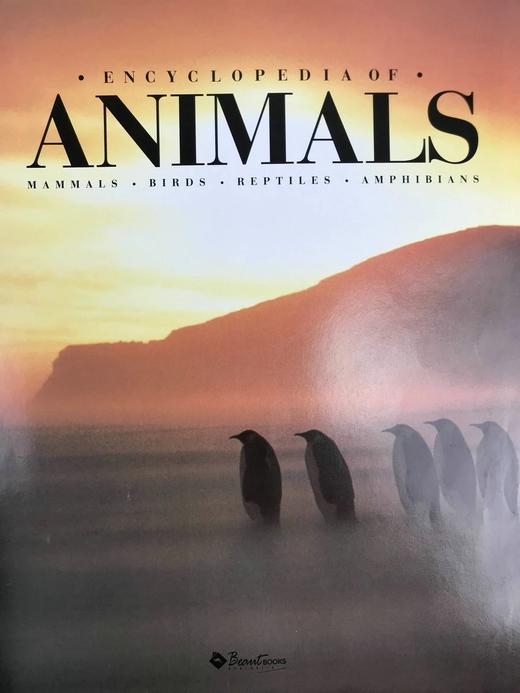 动物百科全书 千余幅彩色插图 精装大16开 商品图3