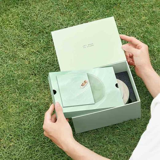 几光蓝牙音箱香薰氛围灯家用便携式无线音乐夜灯仿黑胶唱片转动小音响 BA1-LE 商品图3