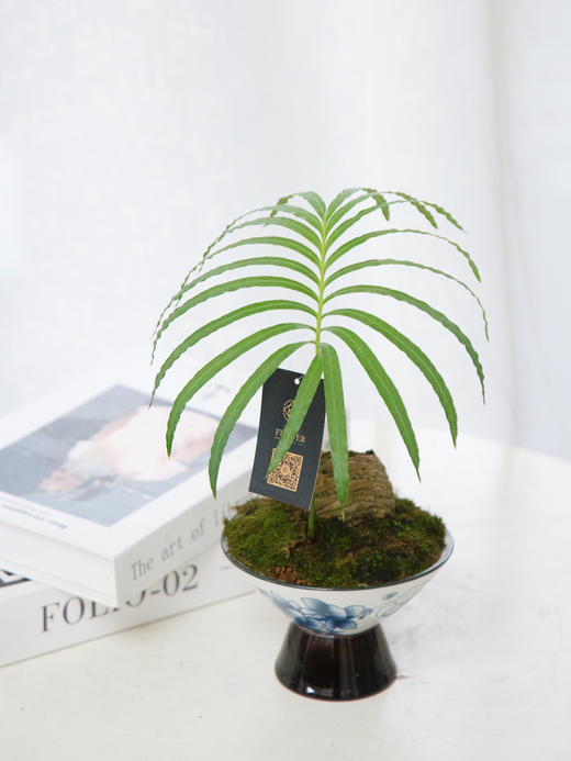 石山铁 商品图0