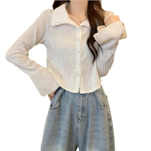 【波浪纹长袖衬衫】秋季新款 休闲时尚百搭长袖短款别致小衫上衣潮  商品图3