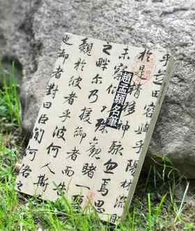 《赵孟頫名笔》，布脊精装，8开巨册，赵孟頫著，上海辞书出版社2020年一版一印，定价480，售价：165