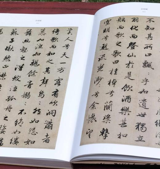 《赵孟頫名笔》，布脊精装，8开巨册，赵孟頫著，上海辞书出版社2020年一版一印，定价480，售价：165 商品图6