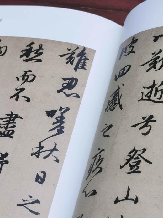 《赵孟頫名笔》，布脊精装，8开巨册，赵孟頫著，上海辞书出版社2020年一版一印，定价480，售价：165 商品图13