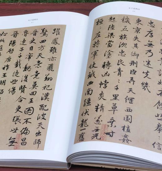 《赵孟頫名笔》，布脊精装，8开巨册，赵孟頫著，上海辞书出版社2020年一版一印，定价480，售价：165 商品图12