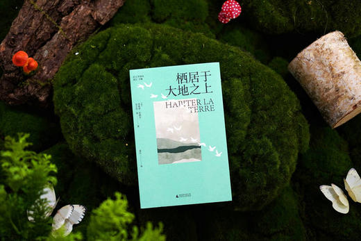 大学问 · 栖居于大地之上 （法）布鲁诺·拉图尔、（法）尼古拉·张  /著 商品图3