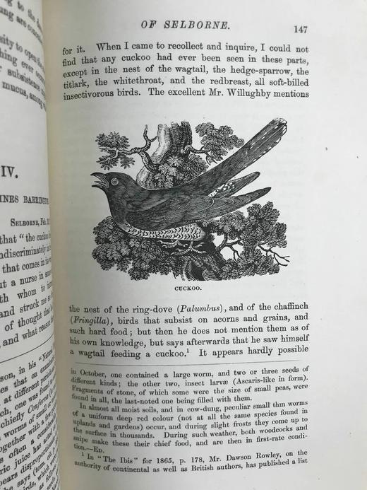 工坊特装本！约19世纪后期 怀特《塞耳彭自然史》 比威克等名家数十幅版画插图 全真皮精装大32开 商品图9