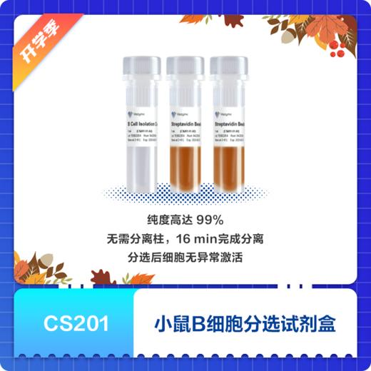 Mouse B Cell Isolation Kit 商品图0