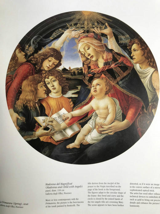 意大利艺术大师图集 数百幅插图 精装大16开 商品图10