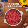 东菱  绞肉机DL-JR373  2L 商品缩略图4