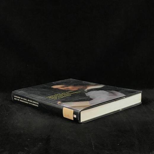 达芬奇，米开朗基罗，与佛罗伦萨文艺复兴 数百幅插图 精装大16开 商品图1