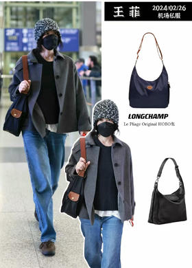 【王菲同款龙骧包hobo】法国托特包休闲单肩斜挎包单肩包时尚女包