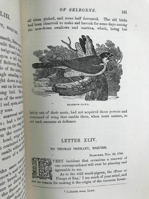 工坊特装本！约19世纪后期 怀特《塞耳彭自然史》 比威克等名家数十幅版画插图 全真皮精装大32开 商品图11