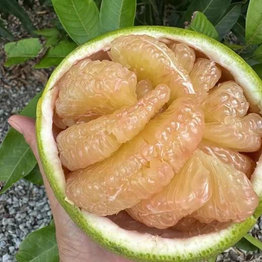 泰国金柚(单颗) Golden-Pomelo 600g/颗 商品图2