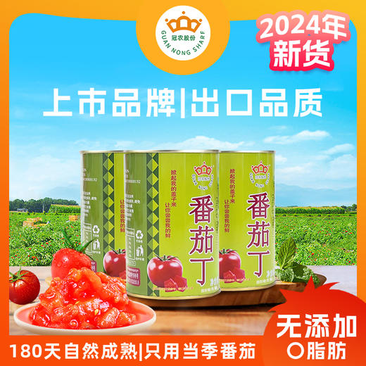 【24年新货】新疆冠农番茄丁400g 零添加 新鲜去皮 西红柿 番茄 商品图0