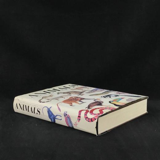 动物百科全书 千余幅彩色插图 精装大16开 商品图1