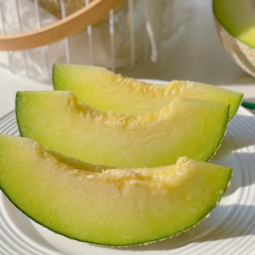 山东网纹瓜 Cantaloupe Melon 1.2kg/颗 商品图1