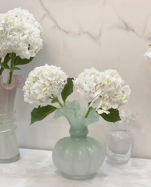 【国产绣球】白色 单枝 商品图2