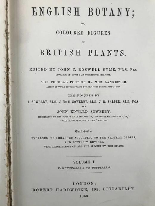 1863-1886年 英国植物志（全12卷）2560幅手工上色版画插图 真皮精装16开 商品图4