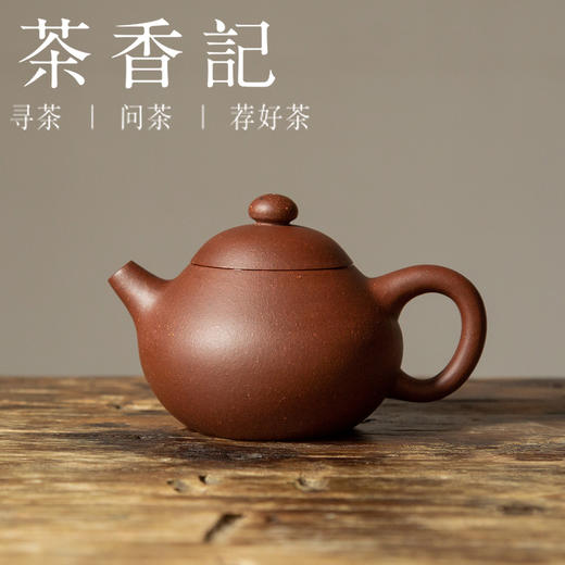 茶香记 紫砂壶 紫泥小文旦 小巧可爱  圆融沉稳 入门款 泡茶壶 功夫茶具 商品图0